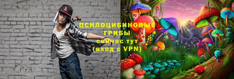 Псилоцибиновые грибы MAGIC MUSHROOMS  Пятигорск 